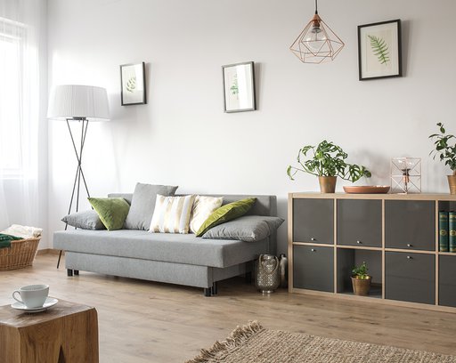Cozy living room with sofa